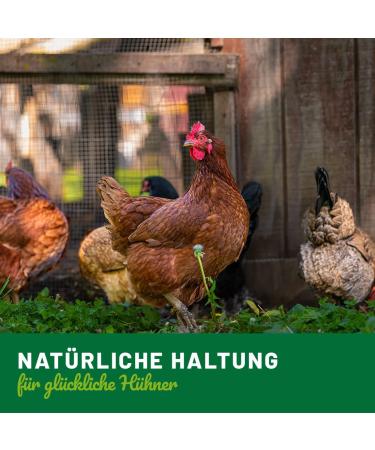 H HNER Land Liquid Wormer 110 ml for chickens and poultry - Natural recipe - Secondary wormer - Without anthelmintic - Buy Online on GoSupps.com