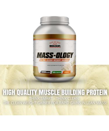 Buy Weight Gainer Whey Protein Powder - Muscle Builder for Men & Women - Vanilla Flavor 7.8 lbs - International Shipping Available - Buy Online on GoSupps.com