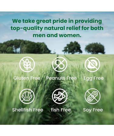 Magnesium Glycinate 500mg Capsules | High Absorption Chelated Formula | Pure Mineral Supplement for Men & Women | 120 Veggie Caps | Made In USA - Buy Online on GoSupps.com