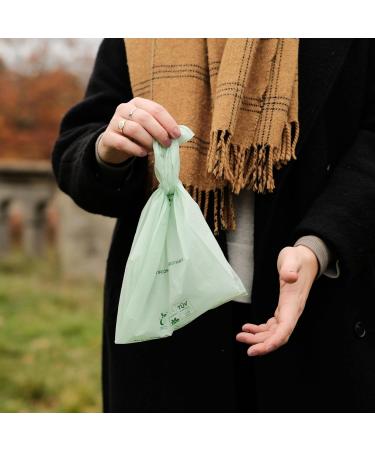 Beco Home Compostable Poop Bags | 96 Bags | Loose Packed With Handles | Unscented Dog Poo Bags Green - Buy Online on GoSupps.com