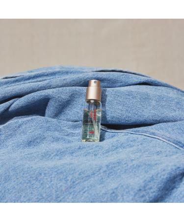 Snif Mini Bundle Perfume Sweet Ash Tart Deco Golden Ticket Cologne for Men and Women Long Lasting Fine Fragrance Non-Toxic 3 pack Tart Deco Sweet Ash Golden Ticket - Buy Online on GoSupps.com