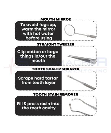 STELLMACHER 8 Pcs Dental Kit - Professional Stainless Steel Tools for Teeth Cleaning Plaque & Tartar Removal | Dental Hygiene Essentials - Buy Online on GoSupps.com