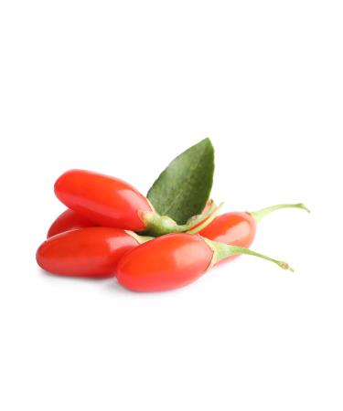 AntioxiTAN 7oz: Organic 4-in-1 Super Fruit Self Tanning Mousse with High Antioxidant Levels | For All Skin Types | No Orange Tan | Fast Shipping - Buy Online on GoSupps.com