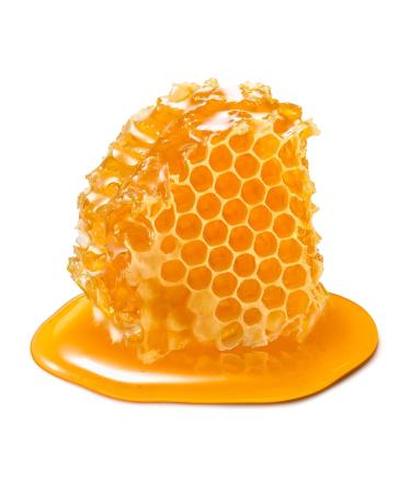 Earth To Skin Honey Manuka Calming Night Cream | Shea Butter & Vitamins | All Skin Types | 2 Fl Oz - Buy Online on GoSupps.com
