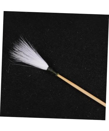 Hoement 1set Professional Ear Cleaning Tools Earwax Ear Cleaning Accessory Pick for Home Use Tool - Buy Online on GoSupps.com