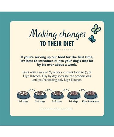 LK CN Croquette Salmon PDT Bag/1 KG Ali.CHIENLILY'S K. - Buy Online on GoSupps.com