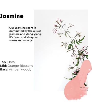 Wilton London Jasmine Fabric Conditioner Refill - 160 Washes | Plant-based & Biodegradable | 100% Recyclable | Essential Oils | 4L - Buy Online on GoSupps.com