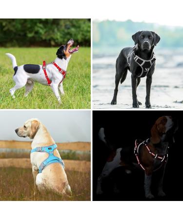 Plutus Pet No Pull Dog Harness - Cyan, Medium Size | Reflective & Adjustable Dog Vest with Easy Control Handle | Perfect for Walking Small, Medium, Large Dogs - Buy Online on GoSupps.com