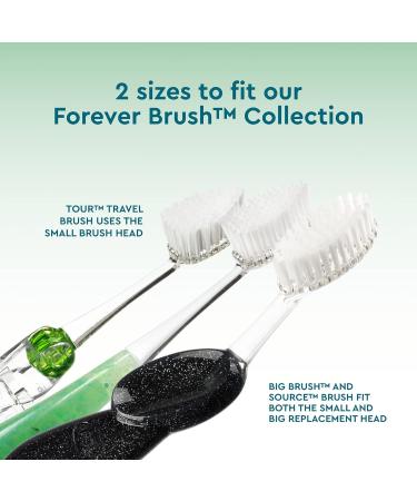 RADIUS Toothbrush Replacement Brush Heads 2-Count - Improve Gum Health, Reduce Gum Issues - Soft Bristles - Pack of 3 - Buy Online on GoSupps.com