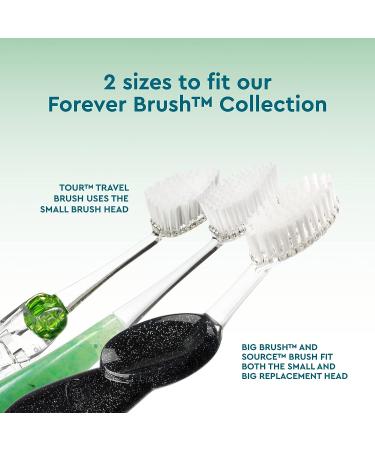 RADIUS Toothbrush Replacement Brush Heads - 2-Count for Gum Health - Super Soft - Pack of 1 - Buy Online on GoSupps.com