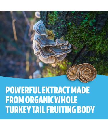 FreshCap Mushrooms Wellness Duo: Reishi 14 000mg for Longevity + Turkey Tail 10 000mg for Immune & Digestive Health 120 Capsules Each - Buy Online on GoSupps.com