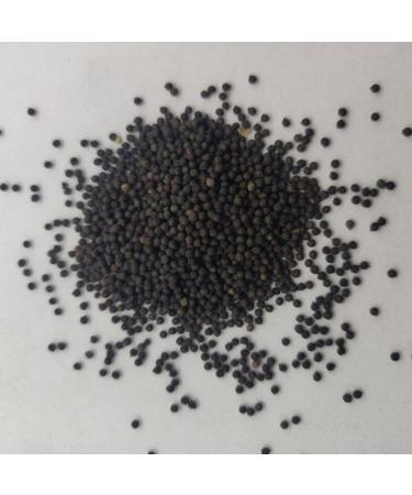 RAW HERBS/JADI BOOTI DRIED KATERI SEEDS BHATKATIYA KANTAKARI KATEHRI BEEJ BEEJ KATELI (100GM) - Buy Online on GoSupps.com