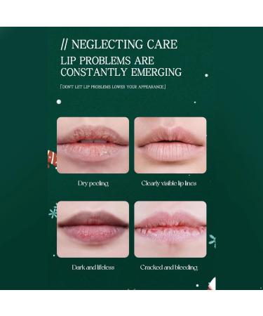 Fruit Flavored Lip Care Set 6 Lip Balms in Bulk with Strawberry Coconut for Nourishing Lips Multicolor One Size One Size Multicolor - Buy Online on GoSupps.com