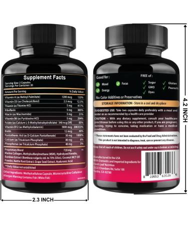 B12 with Hyaluronic Acid Collagen and Folate 25000 mcg B12 Complex | Maximize Absorption & Energy | Gluten Free USA Made B1 B2 B3 B6 B7 B12 vitamins 5000 mcg Methylcobalamin - 60 Capsules 60 Count (Pack of 1) - Buy Online on GoSupps.com