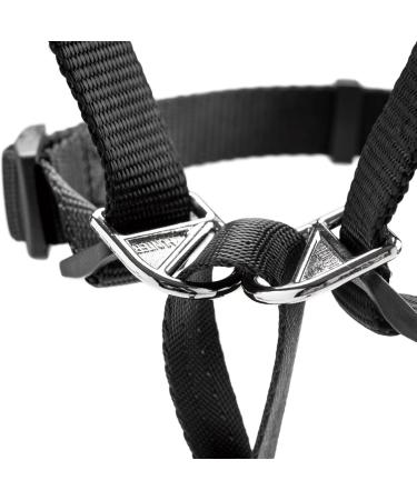 Follow Me M Black Training Harness - Premium Quality for Dogs | International Shipping Available - Buy Online on GoSupps.com