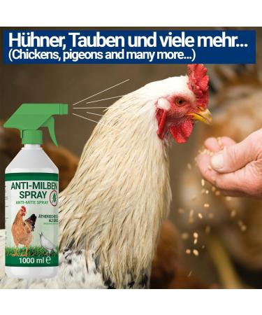 1000ml Mite Spray for Poultry | Chicken & Bird Parasite Control - Immediate & Long-Term Protection (3x 1000ml) - Buy Online on GoSupps.com