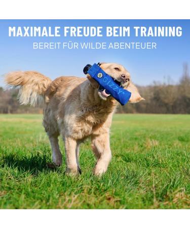Gizzy Original Dog Feed Bag - Premium Training Dummy for All Breeds - Blue - Perfect for Dog Education & Treats - Buy Online on GoSupps.com
