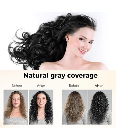 Black Hair Dye Shampoo 3 in 1 | 100% Gray Hair Coverage | Herbal Ingredients | 500ml for Men & Women - Buy Online on GoSupps.com