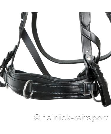 Heinick-Reitsport Professional Leather Cavesson with Bit Strap - ProLine Black for Warmblood/Thoroughbred | International Shipping Available - Buy Online on GoSupps.com