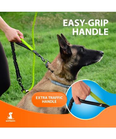 Premium Bungee Dog Leash for Large & Medium Dogs | Jerk Dampers & Reflective Elastic - Perfect for Walks (Green) - Buy Online on GoSupps.com