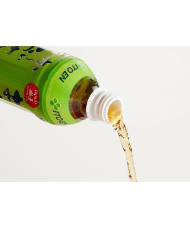 Ito En Green Tea Unsweetened - 500ml Vegan & Gluten-Free Bottles (2 Pack) | Premium Selected Tea Leaves - Buy Online on GoSupps.com