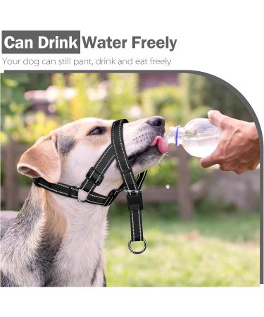Weesiber Adjustable Dog Muzzle & Padded Halter - No Pulling Leash Solution for Medium Dogs (Black) - Buy Online on GoSupps.com