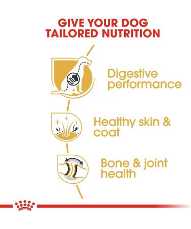 Royal Canin German Shepherd 24 Dry Mix 3 kg - Buy Online on GoSupps.com