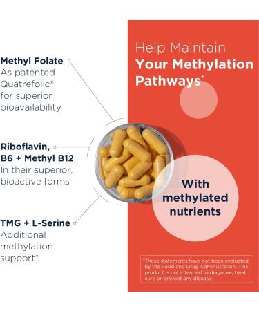 Designs for Health Homocysteine Supreme - Methylated B Vitamins with Riboflavin B6 B12 Folate L-Serine & TMG for Brain Support & Heart Health - Methylated Multivitamin (60 Capsules) 60 Count (Pack of 1) - Buy Online on GoSupps.com