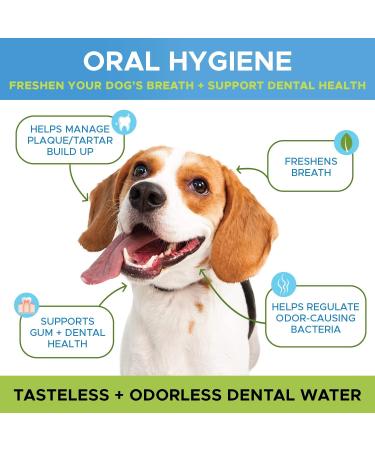 PetHonesty Oral Hygiene Water Additive for Dogs | Natural Dental Mouthwash for Clean Teeth & Fresh Breath | Targets Plaque & Tartar Build-Up - Buy Online on GoSupps.com