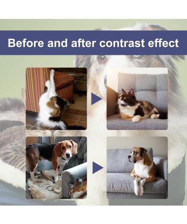 Segminismart Scratch-Resistant Spray - Anti-Scratch Protection for Cats & Dogs | Safe Home Defense for Furniture Sofas & Tables | 50ml - Buy Online on GoSupps.com