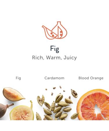 Harry's Men's Deodorant - Odor Control Deodorant - Aluminum-Free - Fig 2.5 Oz 3 count (Pack of 1) Aluminum Free - Discontinued Fig - Buy Online on GoSupps.com