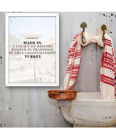 Roomsium Olive Blossom Liquid Soap - 1.3 Gallon | Paraben-Free Cruelty-Free Gluten-Free | Perfect for Sensitive Skin Hotels and Bulk Buyers - Buy Online on GoSupps.com