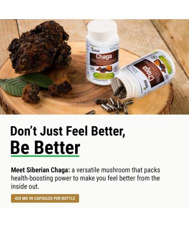 Sayan Chaga Supplements - Raw Chaga Powder (1lb) Chaga Mushroom Capsules (90 Capsules) Chaga Tea Bags (20 Bags) - Buy Online on GoSupps.com