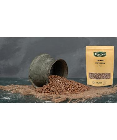 Organic Pinto Beans 500g - Buy Online on GoSupps.com