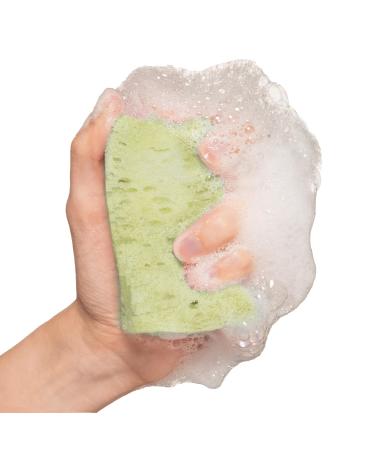 Rose Jasmine Exfoliating Soap Sponge | Cleansing Soap Bar & Gentle Exfoliator | 14+ Uses with Natural Jasmine Extract - Buy Online on GoSupps.com