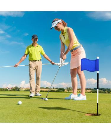 Oudain 6-Piece Golf Flag Set - Waterproof 420D Nylon Mini Pin Flags - Portable Yard & Indoor Putting Green Targets - 8 x 6 Inch - Buy Online on GoSupps.com