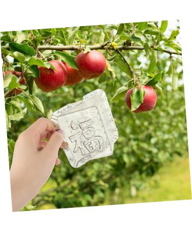 SUPVOX 2pcs Square Apple Fruit Shaping Shape for Vegetable Stereotypes Mould Cover - Buy Online on GoSupps.com