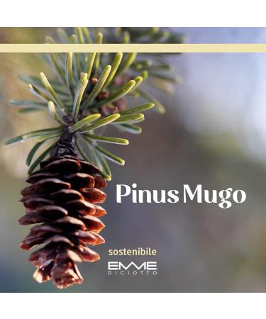 EMME DICIOTTO Pinus Mugo Shampoo 250 ml paraben sulFate antimicrobial antiinflammatory natural rich in proteins vitamins and - Buy Online on GoSupps.com