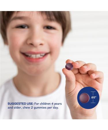 Natural Vitality Kids Calm | Magnesium Glycinate Gummies | Grape Flavored | Non-GMO Vegan & Gluten Free Supplement | 60 Count - Buy Online on GoSupps.com