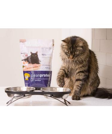 Dr. Elsey's Cleanprotein Chicken Formula Dry Cat Food 6.6 Lb - High-Quality Protein for Cats - Buy Online on GoSupps.com