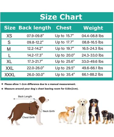 Buy ETDANE Surgical Suit for Dogs Long-Sleeved Recovery Pajamas for Male & Female Pets | Anti-Failure Design | Medium Gray - Buy Online on GoSupps.com