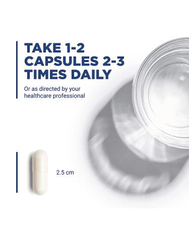 Vital Nutrients L-Carnitine Supplement - Cardiovascular & Fat Metabolism Support - 60 Vegetarian Capsules - 500mg - Buy Online on GoSupps.com