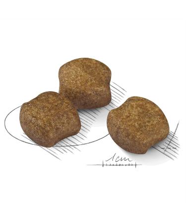 ROYAL CANIN Medium - Dental care - dogs 10 kg - Buy Online on GoSupps.com