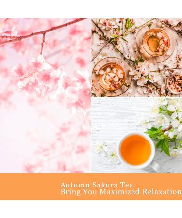 Autumn Sakura Tea Soy Candles | Relaxing Aromatherapy Candle Gift for Men | Long-Lasting Scented Jars for Home Reading & Meditation (7.8Oz - Buy Online on GoSupps.com