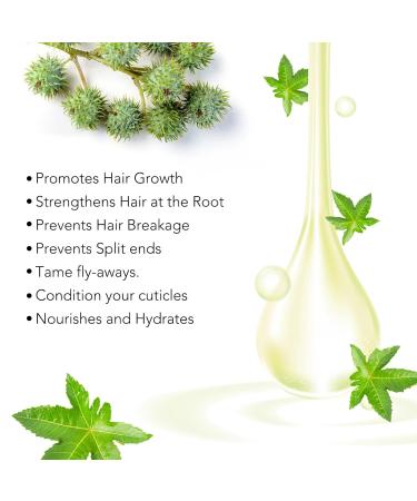 100% Pure Cold-Pressed Castor Oil for Hair Growth | 60ml Organic Castor Oil in Glass Bottle - Perfect for Hair Eyebrows & Eyelashes - Buy Online on GoSupps.com