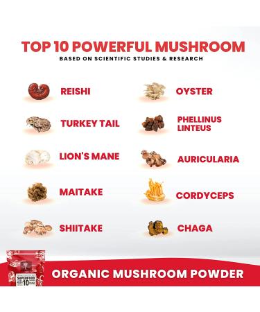 Organic Mushroom Powder Extract - Superfood 10 Supplement | 14x Stronger Immunity Booster 100% Pure USDA | Reishi, Chaga, Cordyceps, Shiitake, Lions Mane, Turkey Tail | Add to Coffee/Tea | 60g/2.12oz (Pack of 1) - Buy Online on GoSupps.com