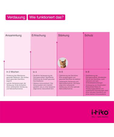 Itiko Digestive Snacks for Cats - Probiotic Treats - Promotes Digestion - Alternative to Clay - Psyllium for Diarrhea - Food Supplement for Cats - Buy Online on GoSupps.com