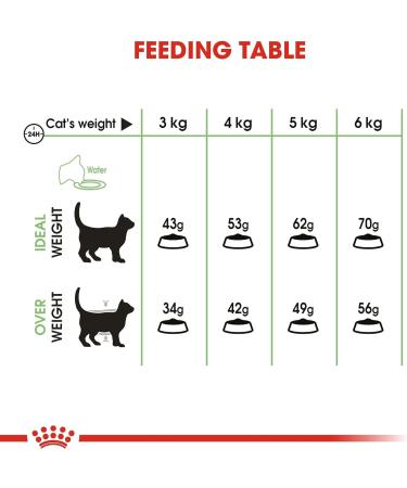 Royal Canin Digestive Comfort Cat Food 2 kg - Supports Digestive Health - Buy Online on GoSupps.com