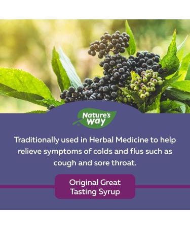 Nature's Way Sambucus Immune Original Cold and Flu Care Elderberry Gummies with Vitamin C and Zinc & Sambucus Cold and Flu Care Original Elderberry Syrup Used in Herbal - Buy Online on GoSupps.com