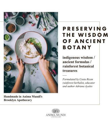 Anima Mundi Chocolate Protein Superfood Powder - Organic Vegan Plant-Based Protein for Energy & Strength - Nutrient-Dense Adaptogen Blend (567g - Buy Online on GoSupps.com